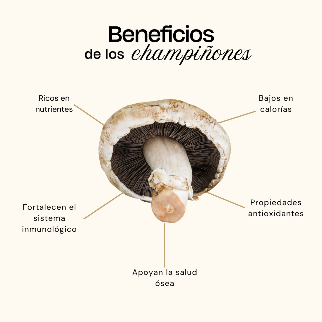 ¡10 Razones por las que los Champiñones Son el Superalimento que Necesitas en tu Vida! 🍄✨