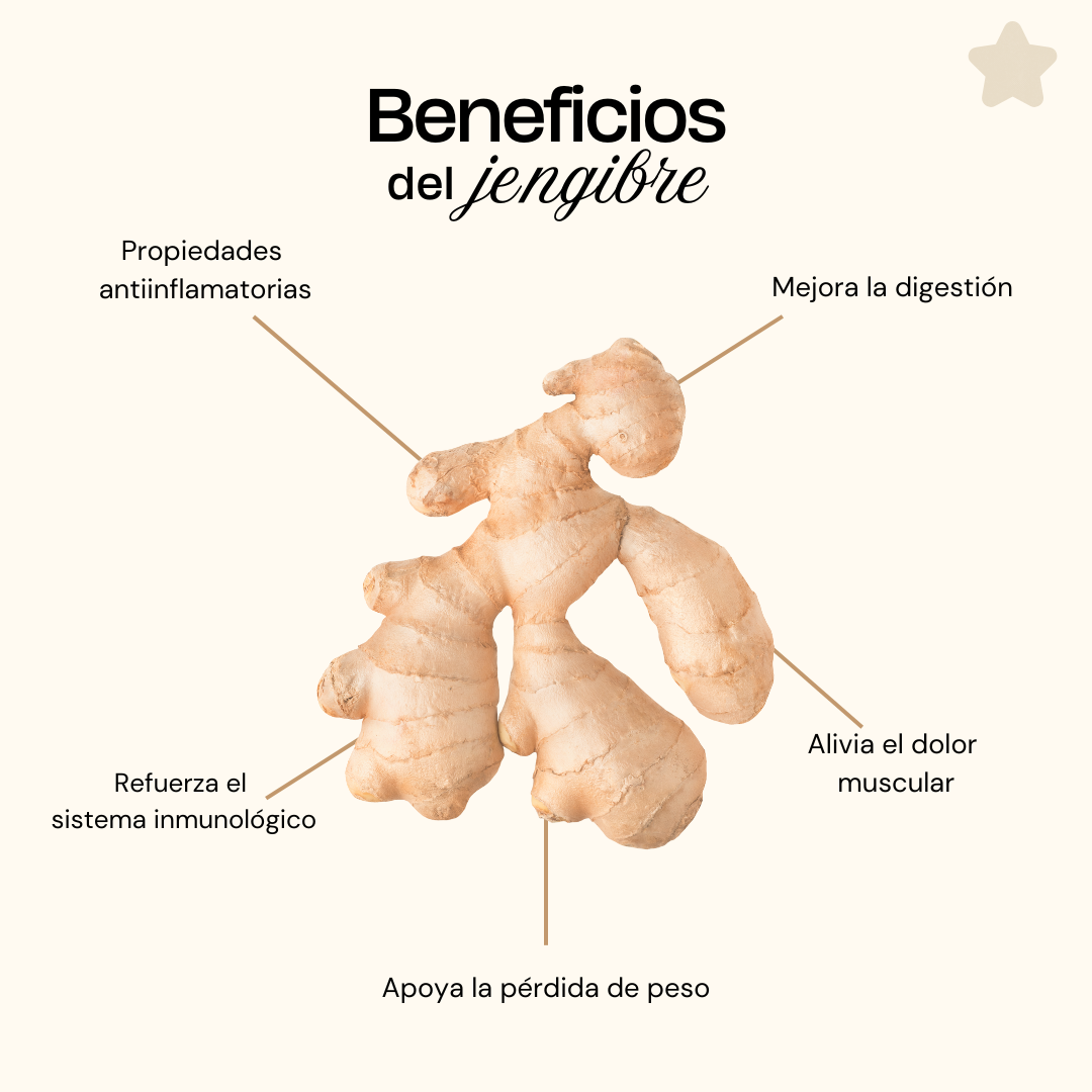 Los Beneficios del Jengibre y Su Importancia para la Salud 🌿✨