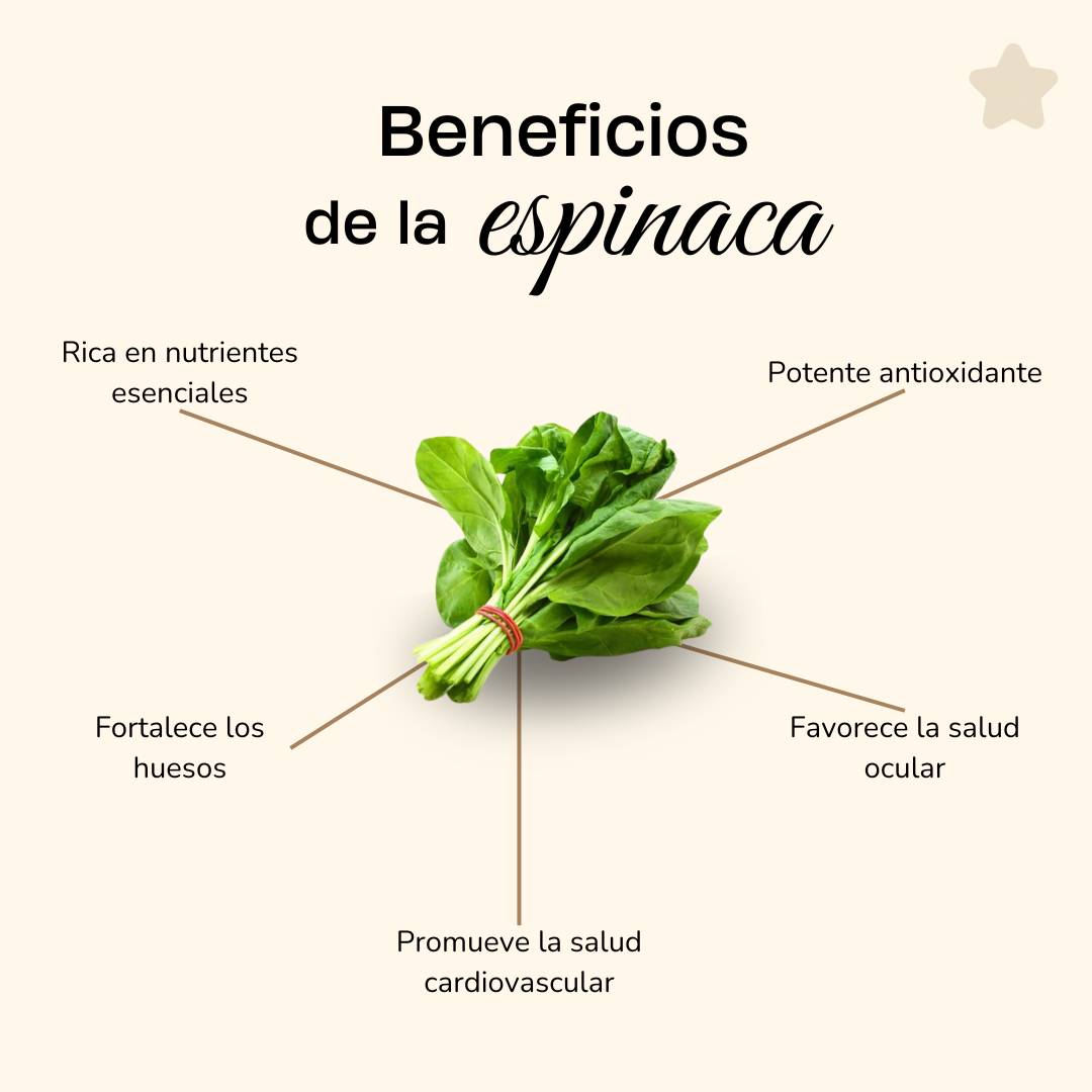 Los 5 Grandes Beneficios de Incluir Espinaca en Tu Dieta 🥗🌿
